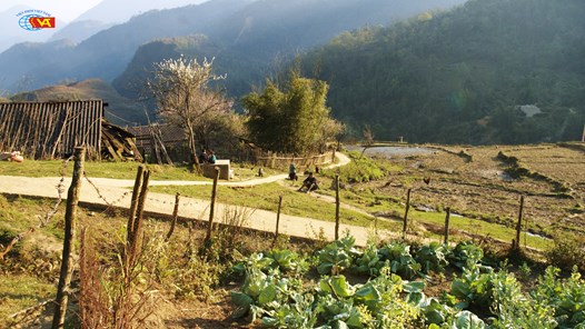 Diện mạo điện ảnh Việt Nam thời Đổi mới qua 17 tác phẩm tiêu biểu