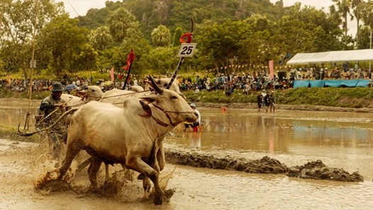 “Trại buôn người” cán mốc 300 tỉ, lọt Top 8 phim Việt doanh thu cao nhất