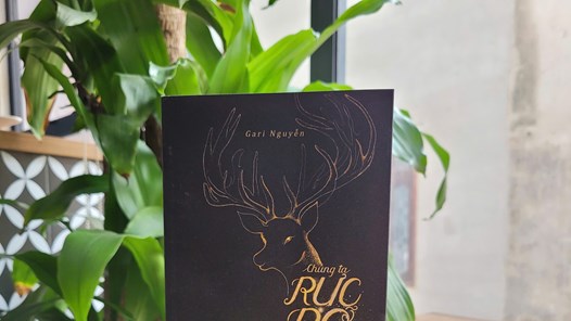 Tại sao những người từng tổn thương lại đồng cảm mạnh mẽ với “Chúng ta rực rỡ từ những vụn vỡ?”