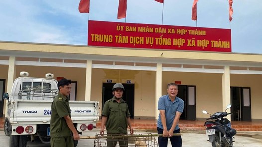 Lào Cai: Xã Hợp Thành ra quân bắt chó thả rông, lập lại trật tự nơi công cộng