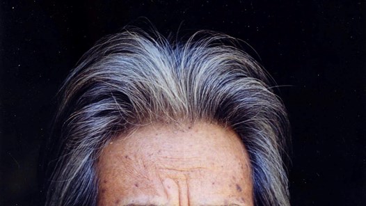 Gia Lai: Tổ chức chuỗi hoạt động tôn vinh hoạ sĩ Xu Man