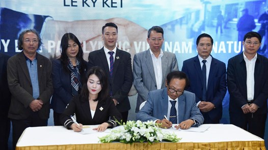 Ra mắt chuỗi giải Paranatuh Pickleball dành cho người khuyết tật