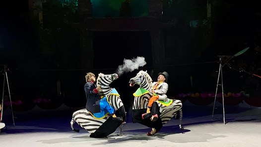 Liên đoàn Xiếc Việt Nam rộn ràng khai xuân với “Ngựa du xuân ba miền”