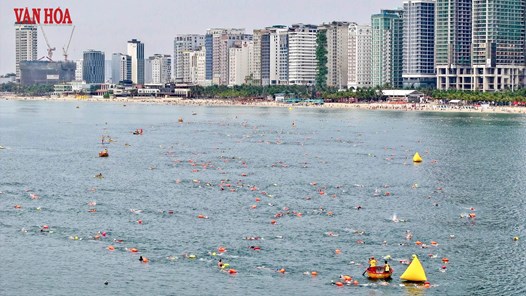 Gần 500 VĐV tranh tài Giải bơi biển “Vượt sóng mùa hè” Đà Nẵng 2026