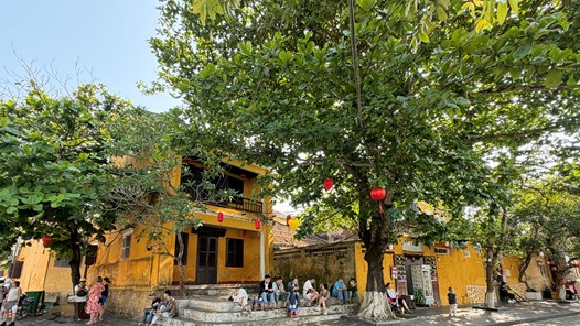 Tăng cường bảo đảm trật tự đô thị, ngăn tái diễn lấn chiếm vỉa hè