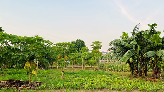 Đại lộ sông Hồng: Những ai phải di dời, được tái định cư ở đâu?