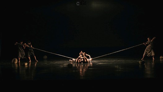 Tác phẩm múa đương đại 'Đa thức' trở lại với phiên bản 2026