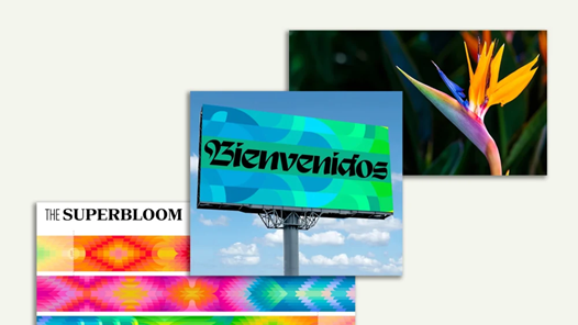 Olympic Los Angeles 2028 công bố bộ nhận diện hình ảnh lấy cảm hứng từ hoa