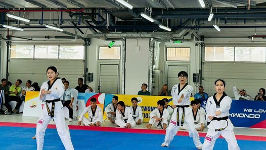 490 võ sinh dự kỳ thi thăng hạng Taekwondo quốc gia