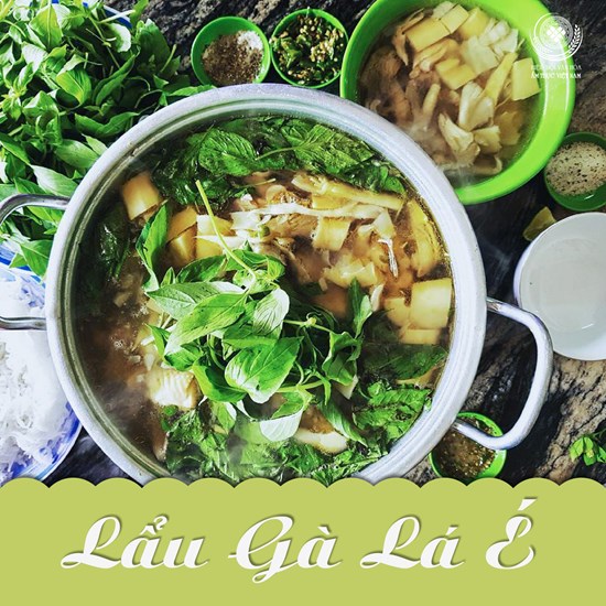 Lẩu gà lá é thơm nồng phòng dịch - Anh 1