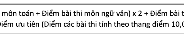Hà Nội tổ chức thi tuyển sinh vào lớp 10 trong hai ngày 18 và 19.6 - Anh 2