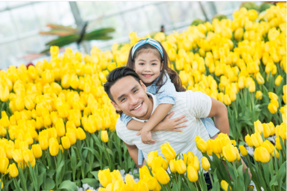 Festival Wonderland - Lễ hội thần tiên tại xứ sở Vinpearl Land - Anh 3