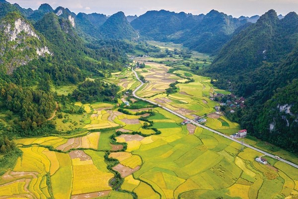 10 sự kiện văn hóa, thể thao và du lịch tiêu biểu năm 2018 - Anh 2
