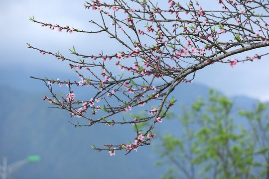 Thời tiết đêm 23 ngày 24.2: Miền Bắc mưa rét vùng núi có nơi 12oC, miền Nam có mưa rào giảm nhiệt - Anh 1