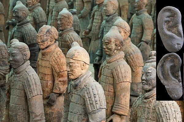 SỰ THẬT: Đội quân đất nung của Tần Thủy Hoàng làm từ... người thật - Anh 3