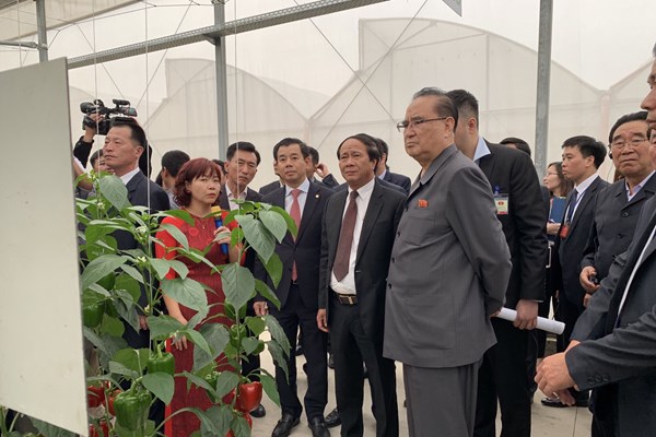 Đoàn đại biểu cấp cao Triều Tiên đến thăm, làm việc Hải Phòng, Quảng Ninh - Anh 1