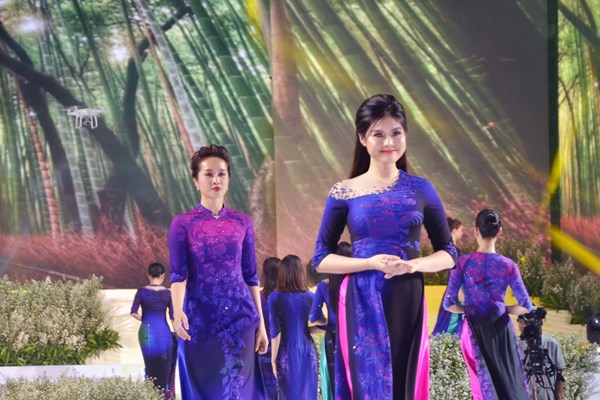 Hình ảnh chưa đẹp tại Lễ hội Áo dài TP.HCM - Anh 1