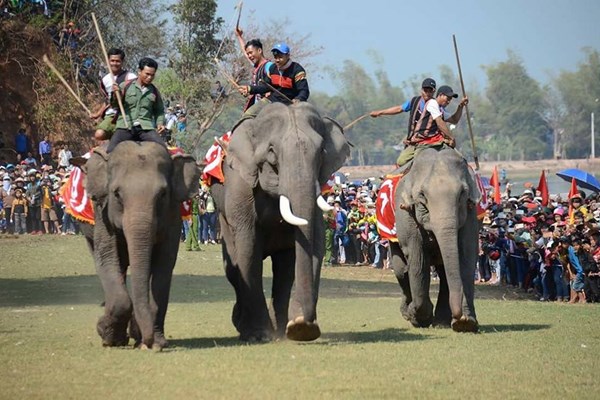 Phải đảm bảo an toàn tuyệt đối cho người và voi tham gia Hội voi - Anh 1