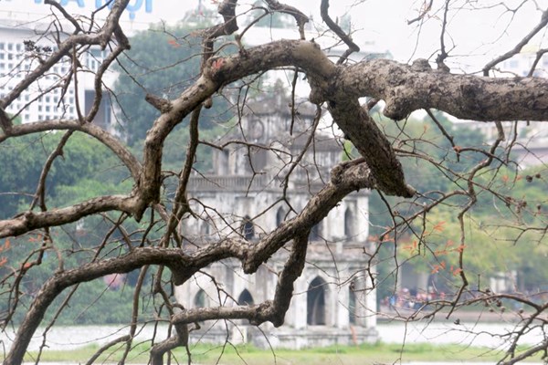 Thời tiết ngày đêm 10 và ngày  11.3: Đông Bắc Bộ và Bắc Trung Bộ tiếp tục rét trong 2-3 ngày tới - Anh 1
