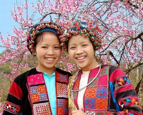 Về đề án 