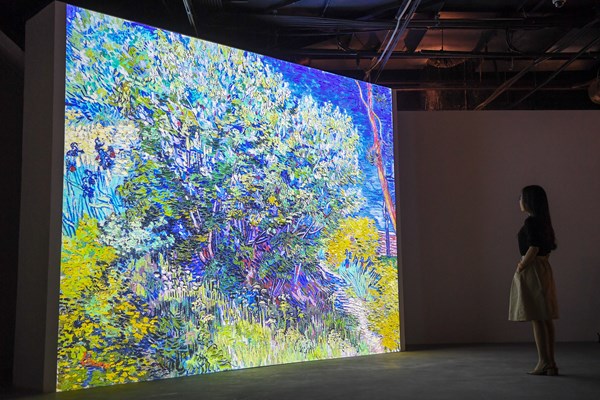 Vừa khai mạc, triển lãm Van Gogh đón hơn 10.000 lượt khách tham quan - Anh 11