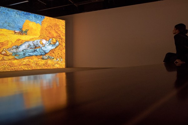 Vừa khai mạc, triển lãm Van Gogh đón hơn 10.000 lượt khách tham quan - Anh 7
