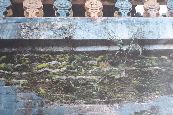 Di tích Ngọ Môn (Huế) được xử lý bằng công nghệ hiện đại: Làm sạch chứ không làm mới - Anh 2