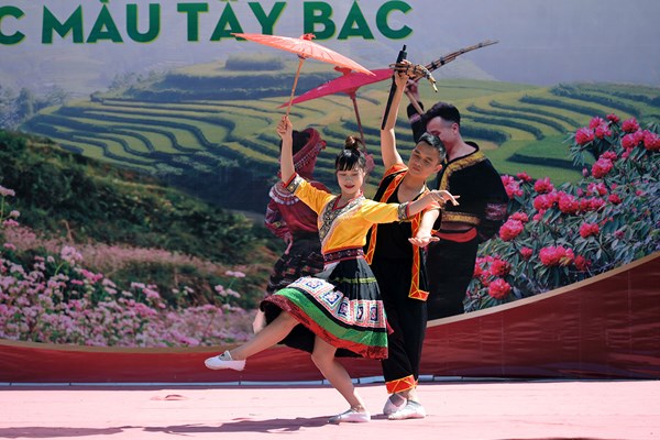 Mùa đỗ quyên về, lên Fansipan trẩy hội, ngắm hoa - Anh 6