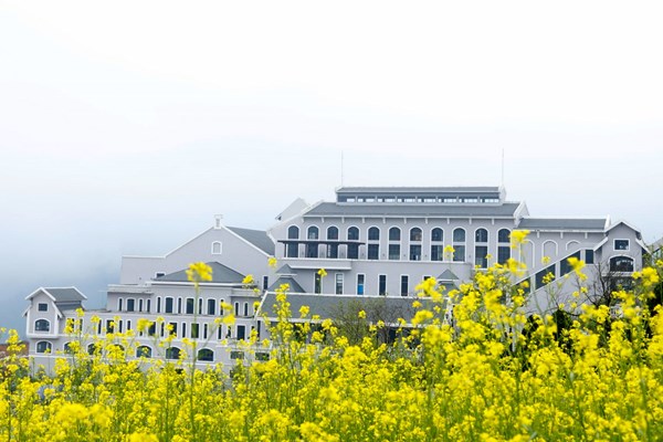 Mùa đỗ quyên về, lên Fansipan trẩy hội, ngắm hoa - Anh 9