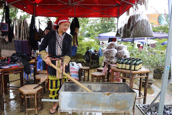 Mùa đỗ quyên về, lên Fansipan trẩy hội, ngắm hoa - Anh 11