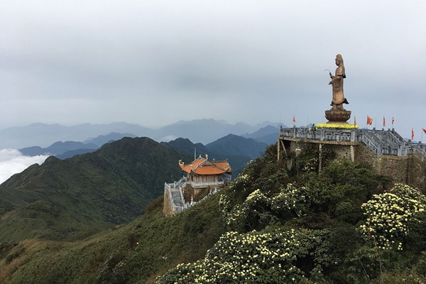 Mùa đỗ quyên về, lên Fansipan trẩy hội, ngắm hoa - Anh 2