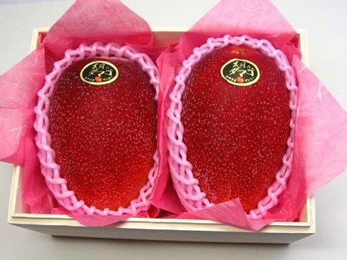 Sốt “trứng mặt trời đỏ” giá bằng cả tháng lương, mua vẫn không tiếc - Anh 2