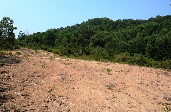 Dự án khu du lịch tâm linh Thiền Trúc Lâm- Quảng Nam: “Trụ trì chùa Ba Vàng nhận một số tấm biển đăng ký công đức cúng dường ...” - Anh 1