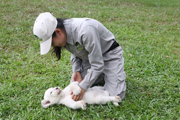 Tê giác con đầu tiên chào đời tại Vinpearl Safari Phú Quốc - Anh 6
