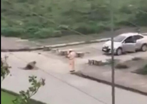 Người dân vô cảm hay pháp luật còn kẽ hở? - Anh 1