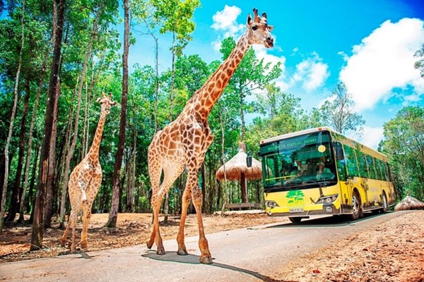 Liên tiếp thú hiếm sinh nở tại “ngôi nhà động vật năm châu” Vinpearl Safari - Anh 10