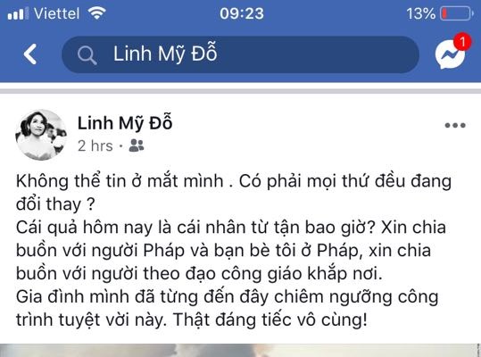 Nghệ sĩ Việt bàng hoàng khi nhà thờ Đức Bà Paris chìm trong biển lửa - Anh 2