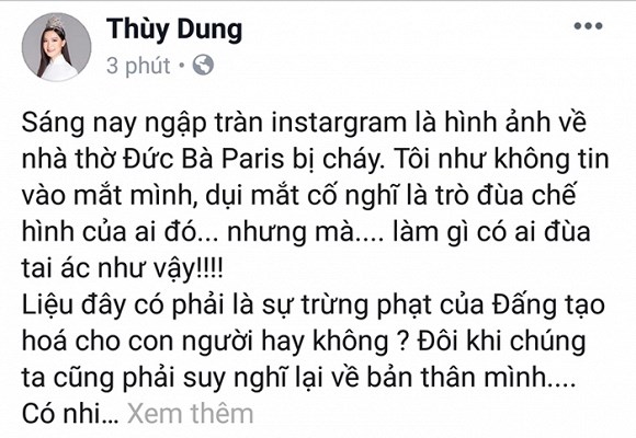 Nghệ sĩ Việt bàng hoàng khi nhà thờ Đức Bà Paris chìm trong biển lửa - Anh 8