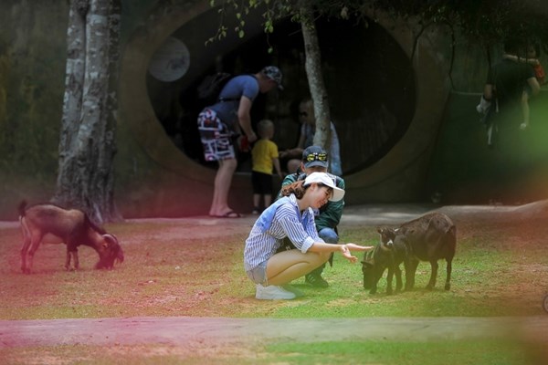 Vinpearl Safari Phú Quốc - 17 ngày đón 2 cá thể tê giác quý chào đời - Anh 7