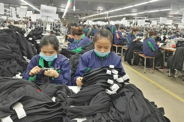 Công đoàn khởi kiện doanh nghiệp nợ BHXH: Có được ủy quyền không mà đòi... kiện tụng(?!) - Anh 1