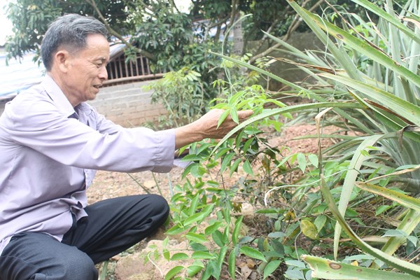 “Của để dành” trên núi Dành - Anh 3
