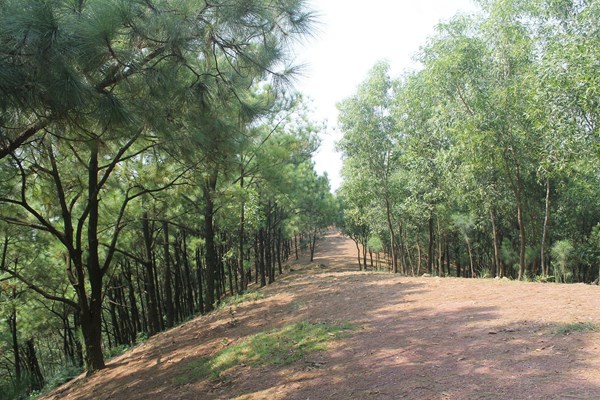 “Của để dành” trên núi Dành - Anh 1