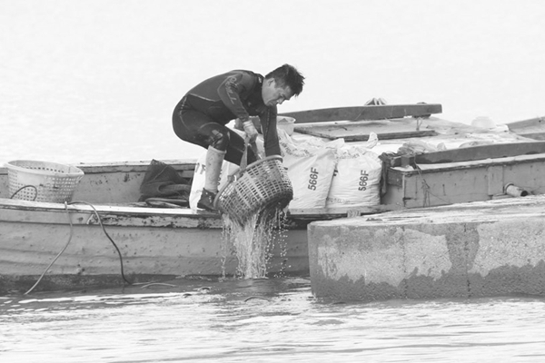 Dầm mình giữa lòng sông săn lộc trời - Anh 1