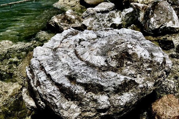 Để Lý Sơn – Sa Huỳnh trở thành Công viên địa chất toàn cầu: “Có một không hai trên thế giới” nhưng vẫn lo... - Anh 2