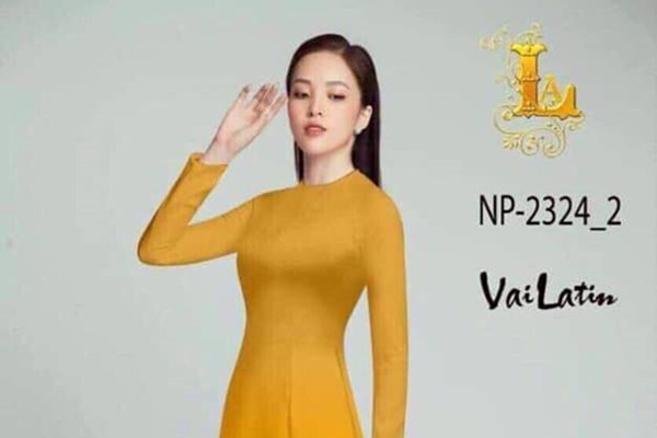 Vụ “đạo” tranh lên áo dài: Doanh nghiệp “cãi cùn” cuối cùng đã phải xin lỗi - Anh 3