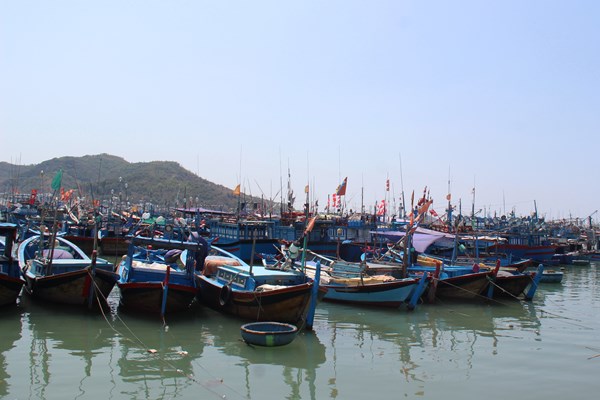Về quyết định giao hạn ngạch giấy phép khai thác thủy sản: Hàng nghìn ngư dân sẽ không được ra khơi? - Anh 1