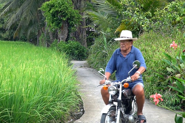 LHP Tai lieu chau Au - Viet Nam lan thu 10: “Thuong hieu” da dinh hinh trong long khan gia - Anh 1
