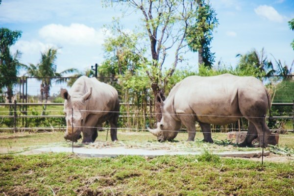 5 điều đặc biệt tại nơi diễn ra Liên hoan Thiếu nhi quốc tế 2019 - Anh 2