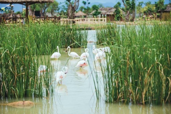 5 điều đặc biệt tại nơi diễn ra Liên hoan Thiếu nhi quốc tế 2019 - Anh 3