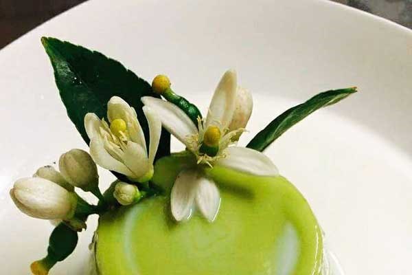 Cách làm chè bơ đơn giản ngon như ngoài hàng - Anh 6